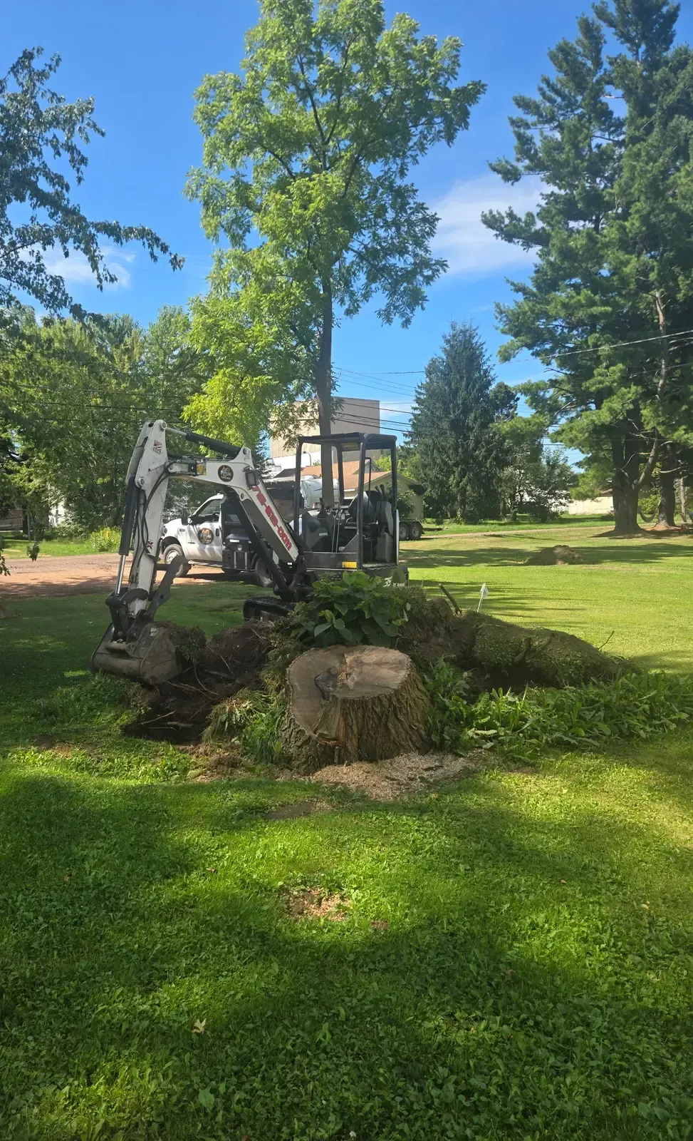 Mini excavator digging out a large tree stump in a residential yard in Abbotsford, WI