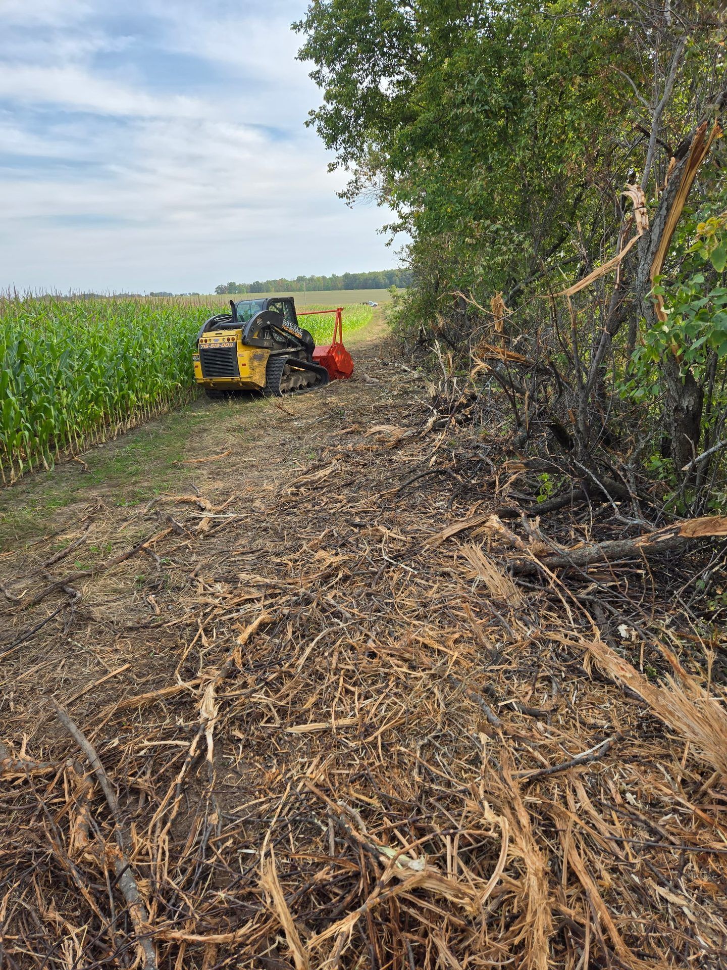 ERE track loader with a forestry mulching head clearing an overgrown tree line to widen a cornfield edge in Dorchester, WI