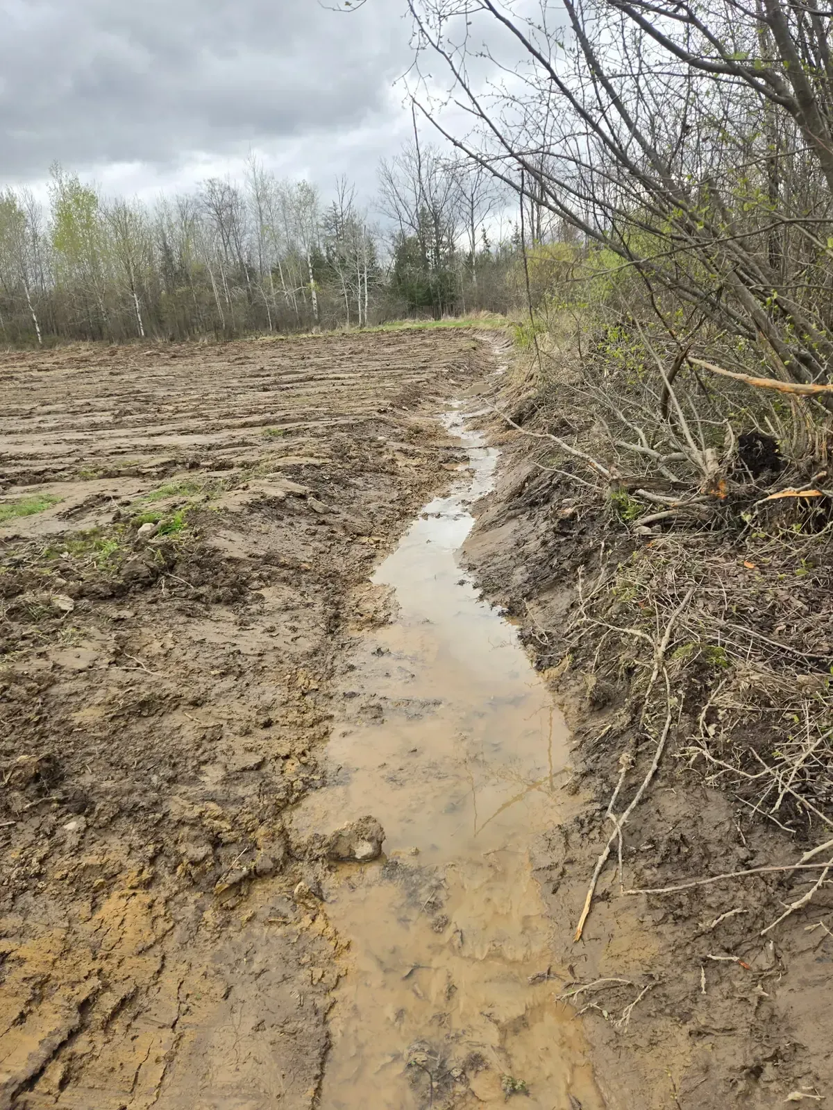Newly dug ditch carrying runoff away from a food plot along a tree line in Colby, WI