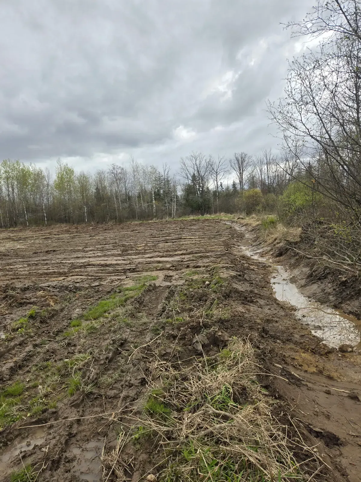 Drainage ditch cut along the wooded edge of a newly prepared food plot in Colby, WI