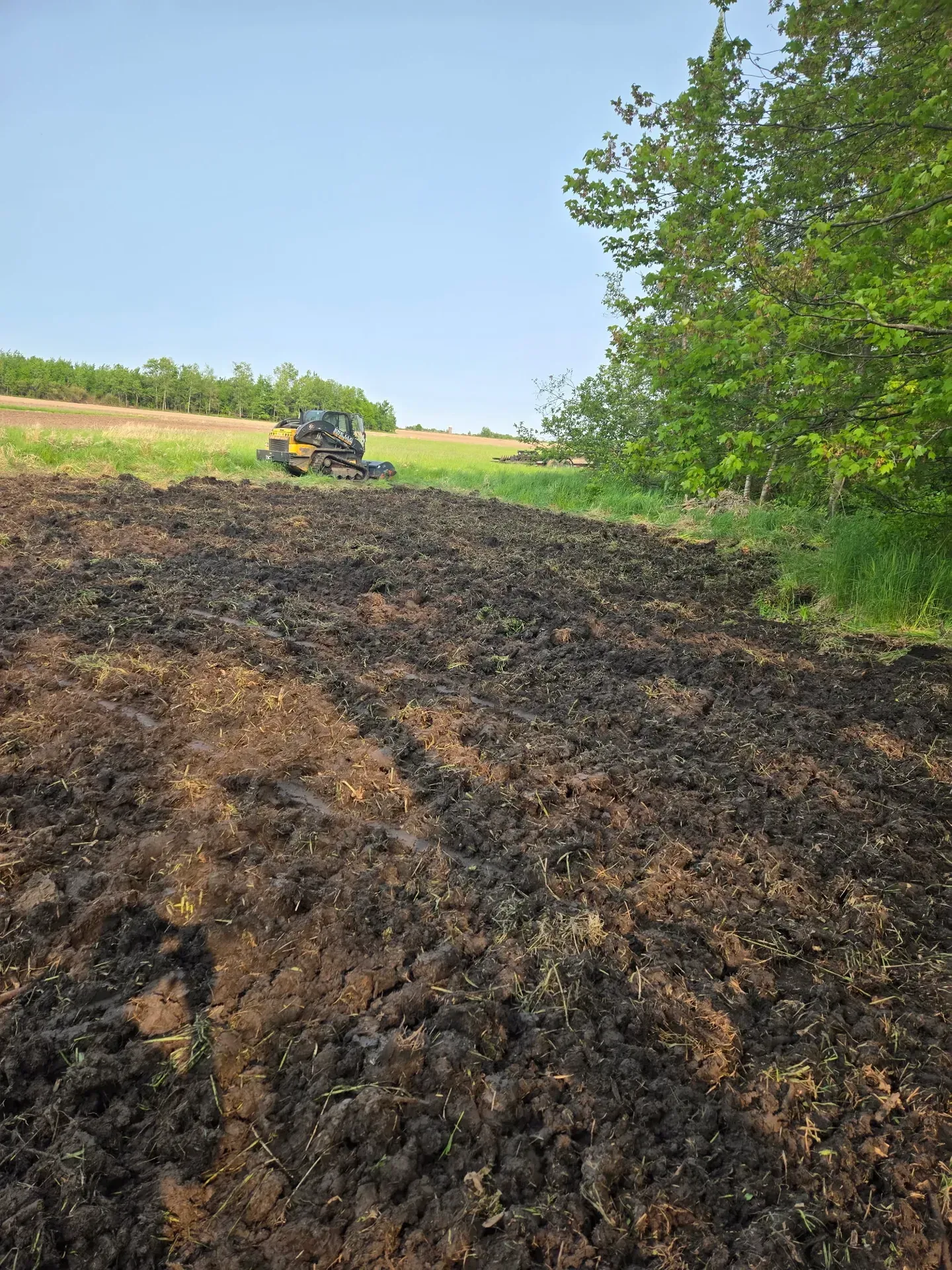 Freshly tilled food plot seedbed along a tree line with a compact track loader in the background in Abbotsford, WI