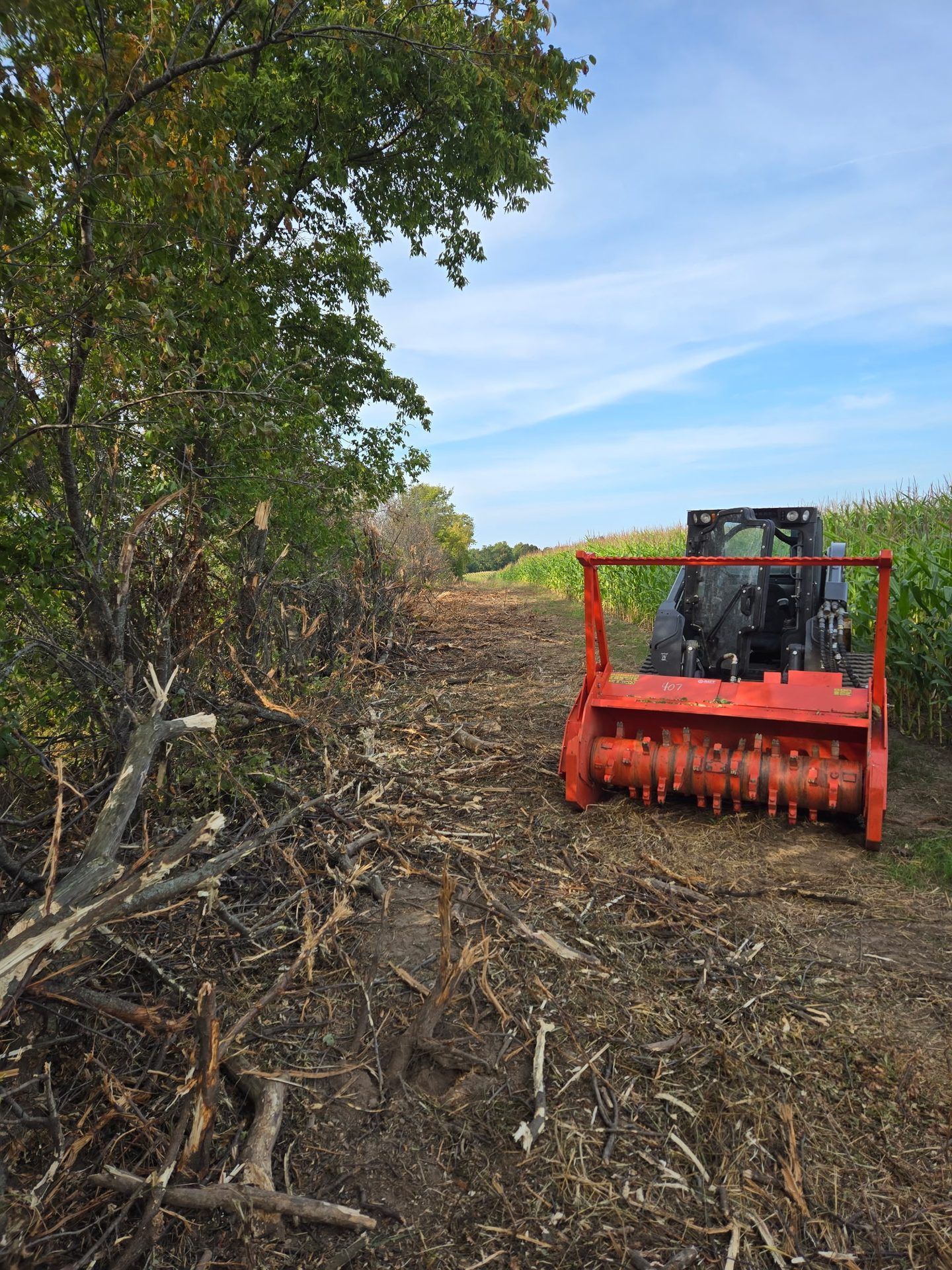 Forestry mulcher head beside a freshly mulched fence line, with shredded brush along the edge of a cornfield, in Dorchester, WI