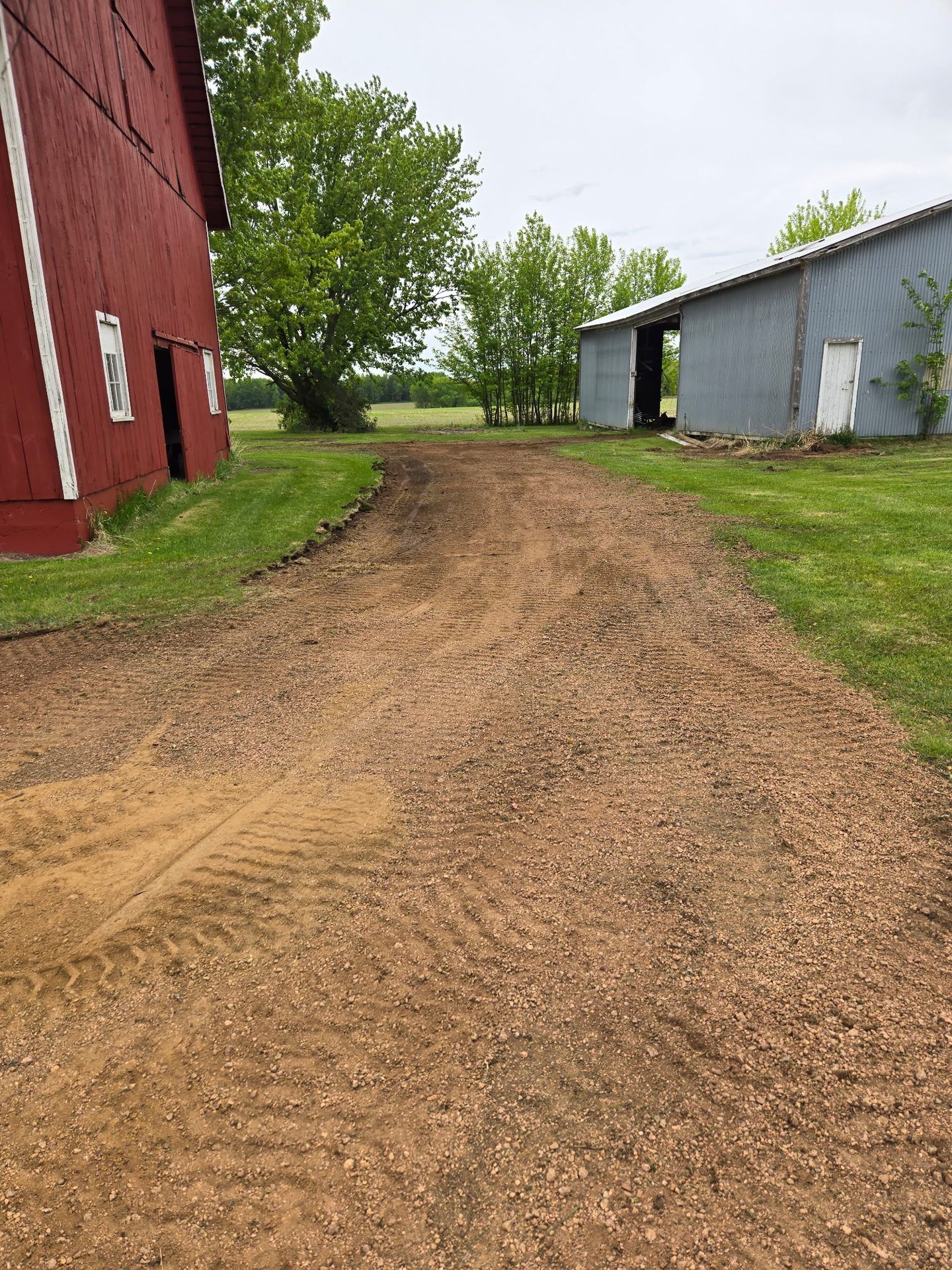 Freshly graded and edged farm lane ready for new gravel between a red barn and machine shed in Dorchester, WI