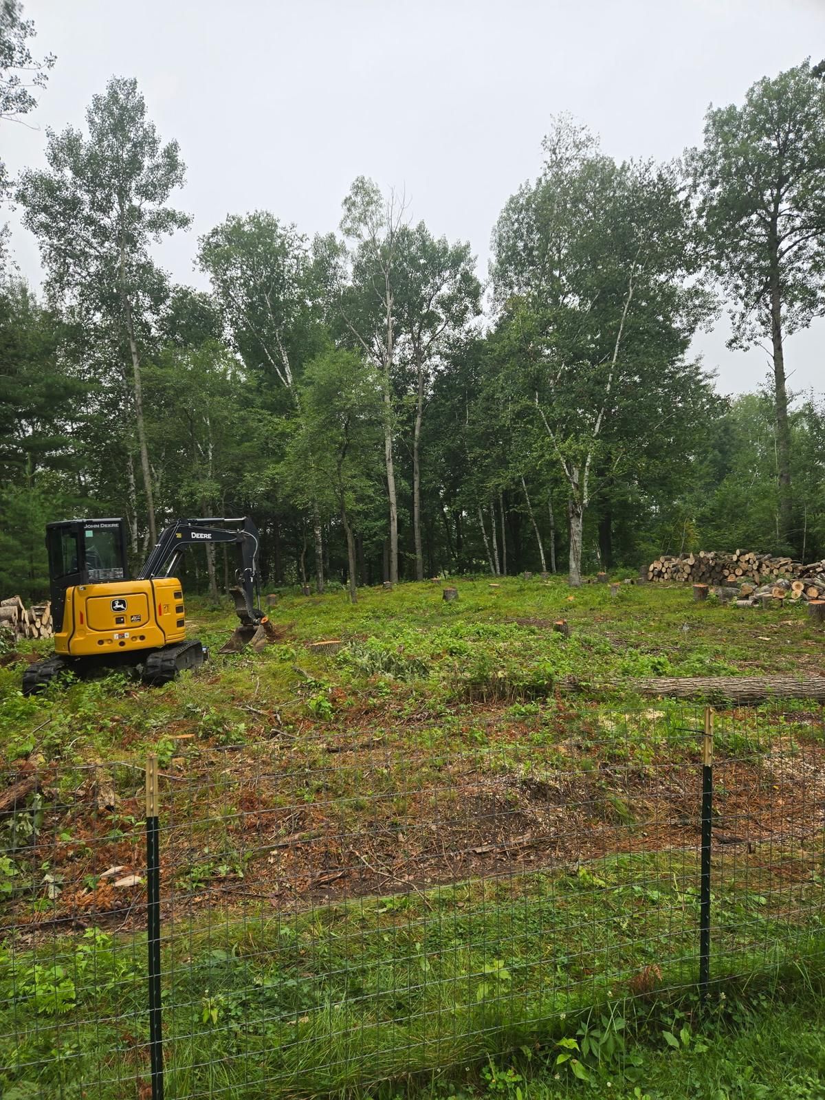 Wooded lot partway through clearing, with cut stumps, brush, and stacked logs behind a wire fence before stump removal in Wausau, WI
