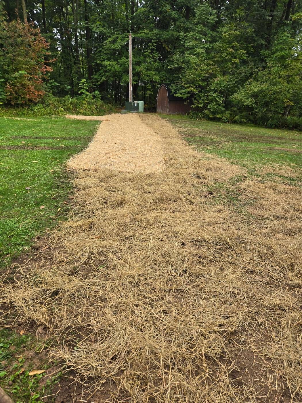 Seeded and straw-mulched trench line leading to a utility transformer in Medford, WI