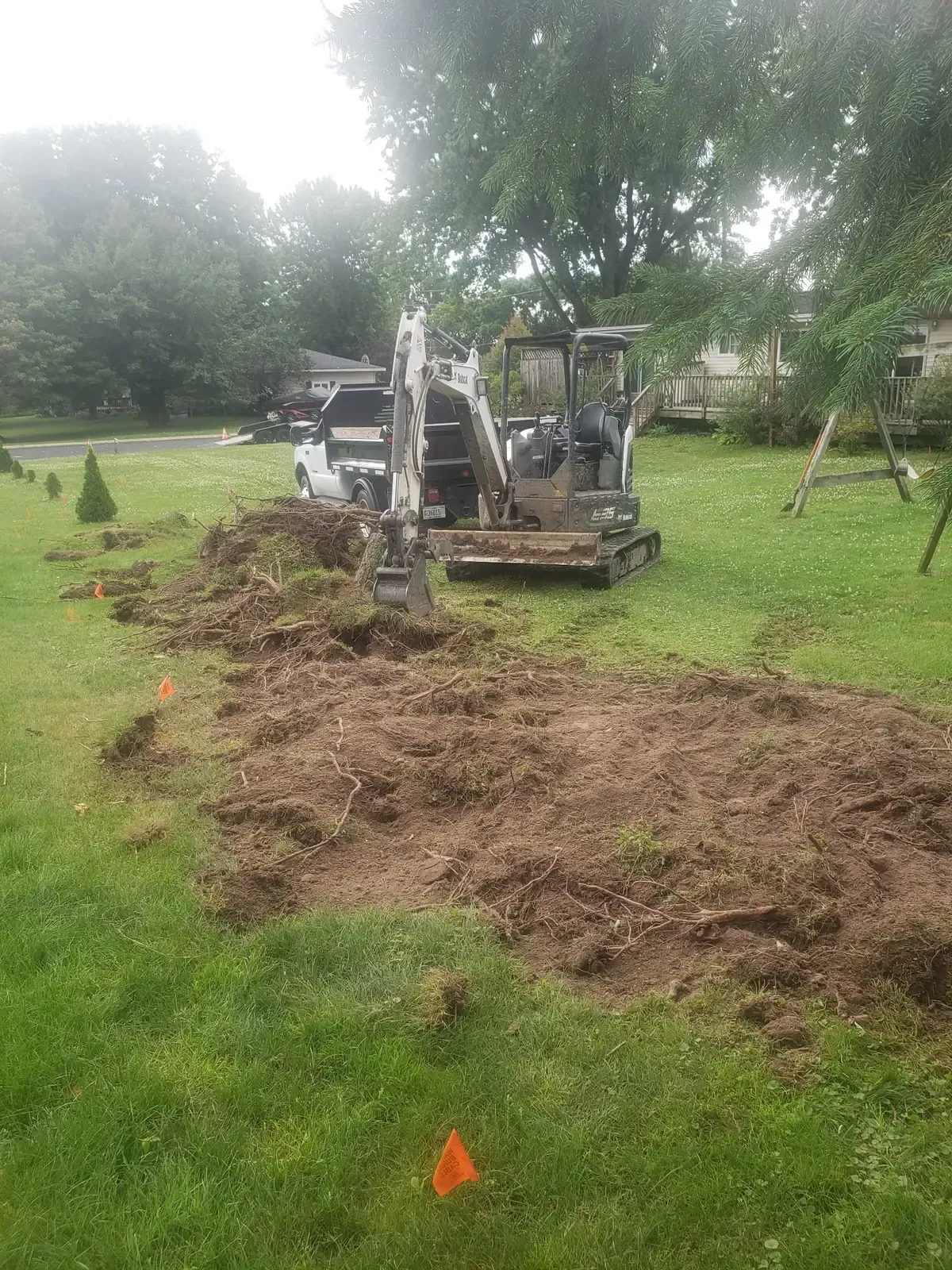 Mini excavator pulling stumps and roots from an old shrub row in a residential yard, with utility locate flags marking the work area, near Marshfield, WI