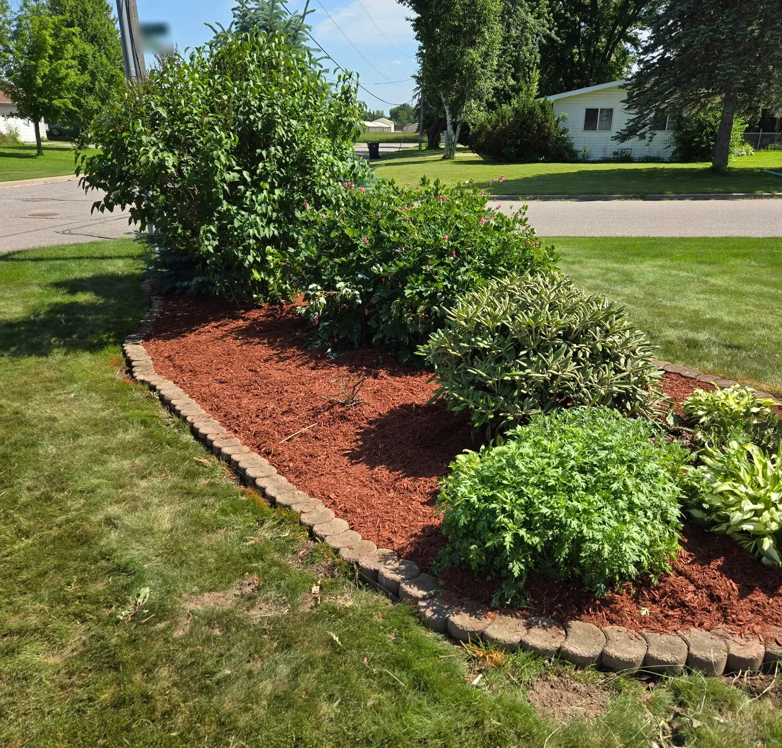 Corner landscape bed refreshed with red mulch and reset concrete block edging around shrubs and hostas in Spencer, WI