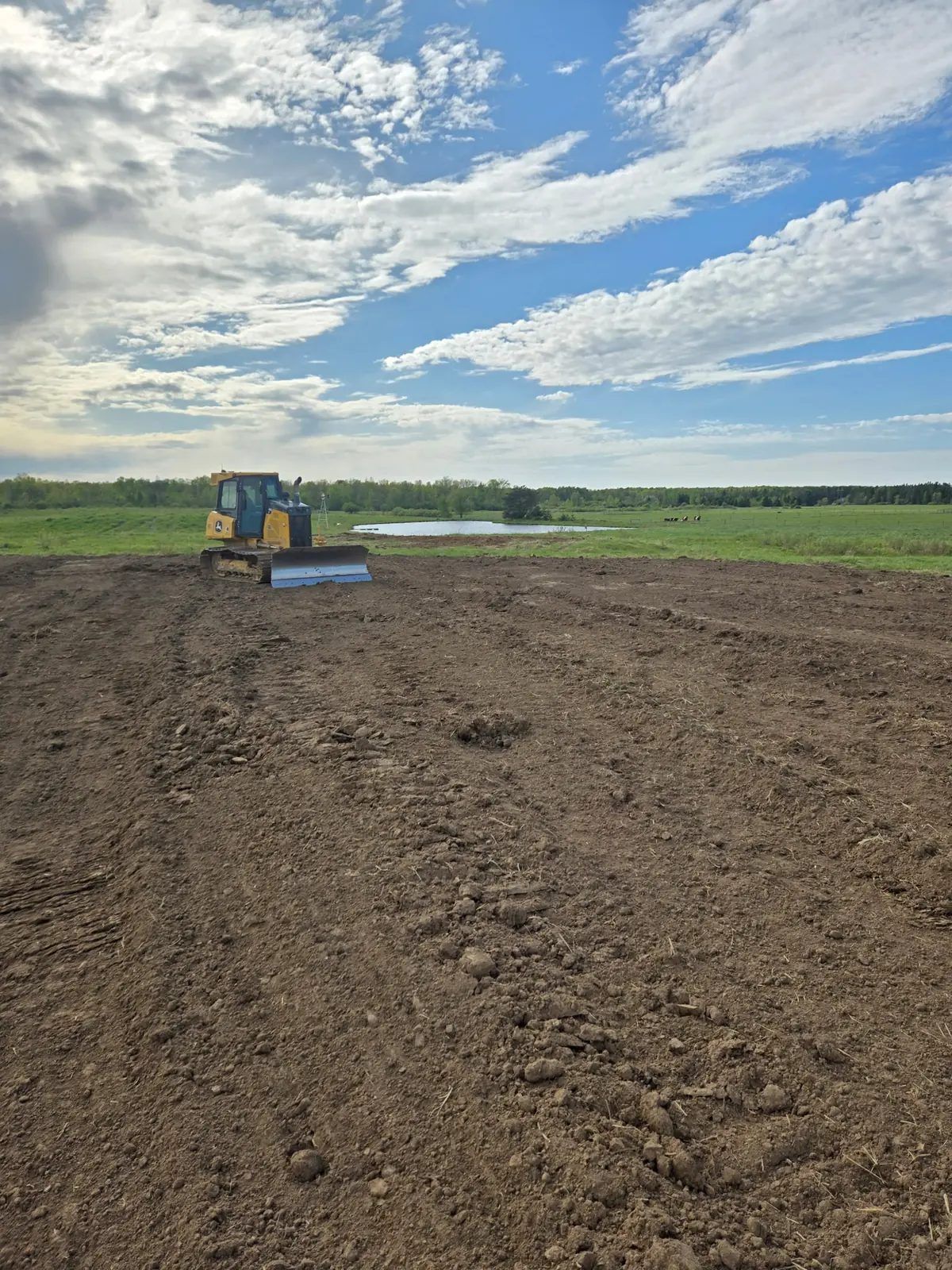 Bulldozer on a freshly final-graded field with a pond and grazing cattle in the background on an NRCS conservation project near Marshfield, WI