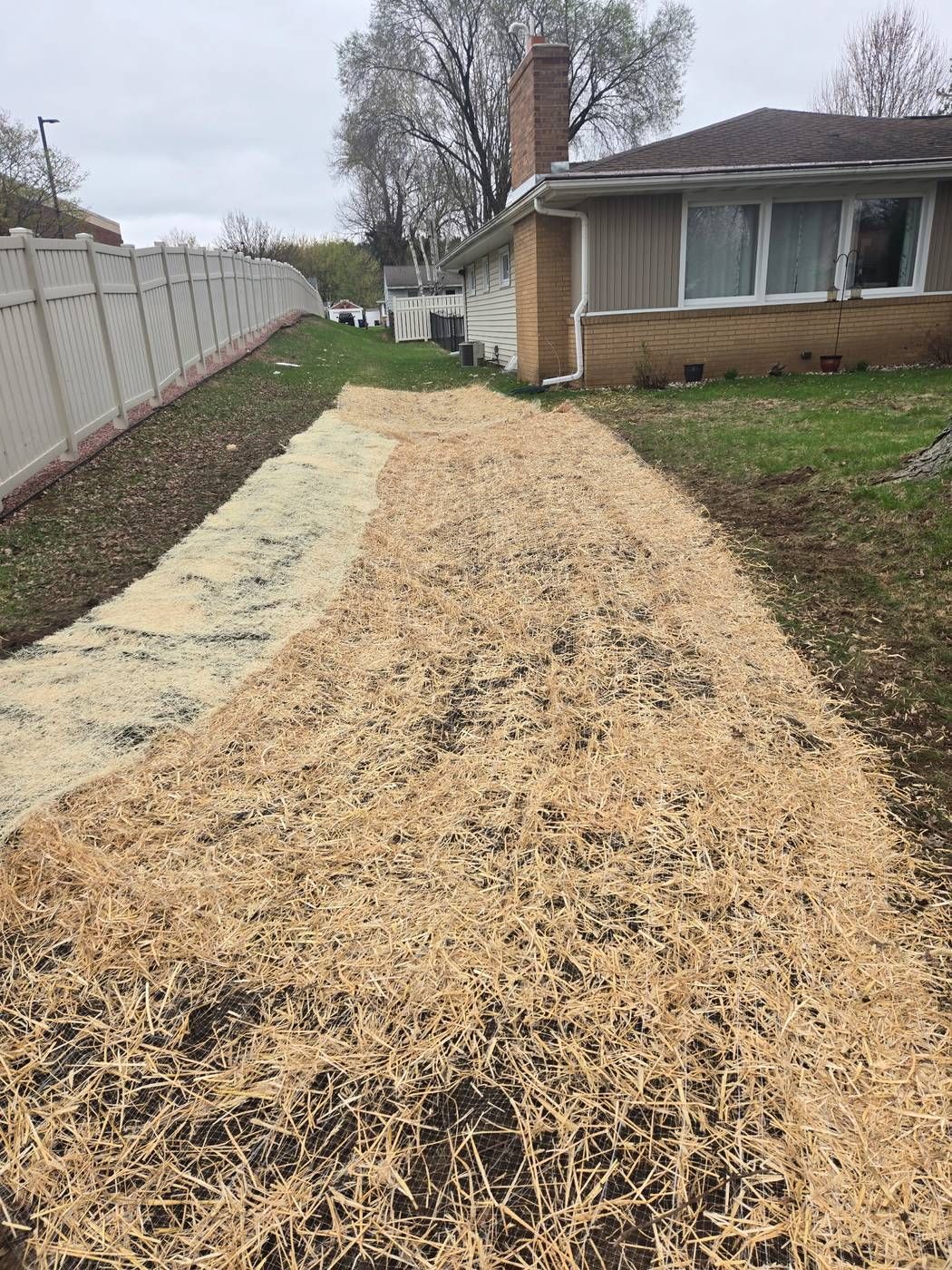 Regraded side yard covered with straw erosion control blanket over new seed after basement drainage correction in Wausau, WI