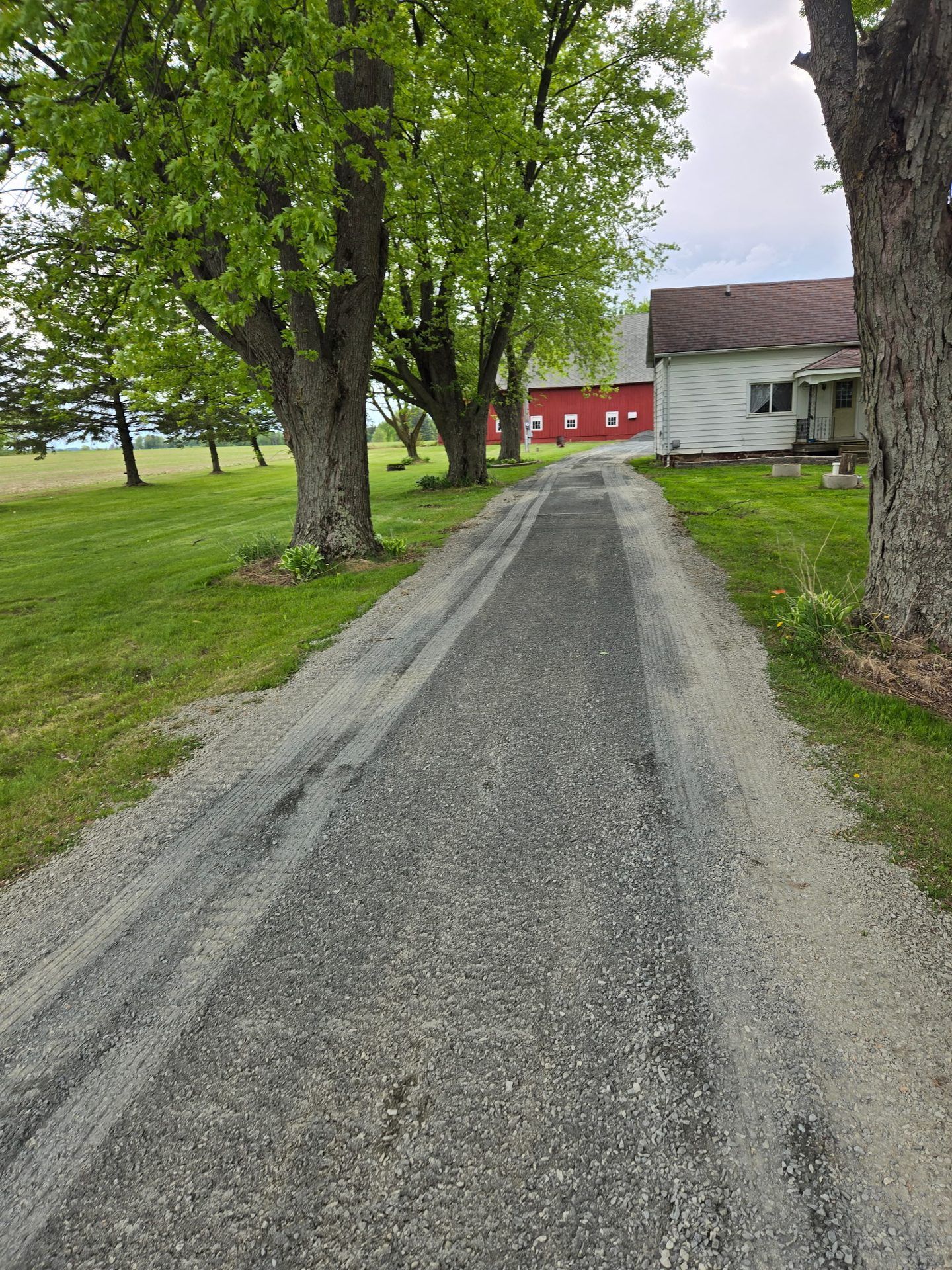 Resurfaced gravel driveway lined with mature maples leading to a red barn in Dorchester, WI