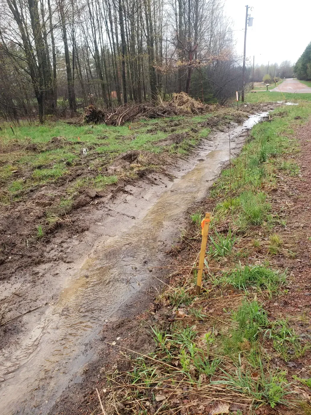 Freshly cut roadside drainage ditch carrying rainwater along a wooded lot in Marshfield, WI