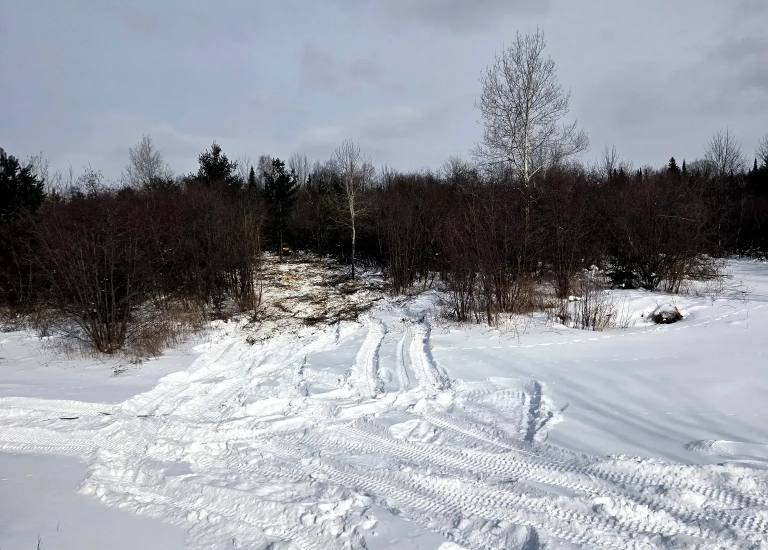 Shooting lane mulched through alder and brush from an open snowy field, with the mulcher working down the lane in Rib Lake, WI