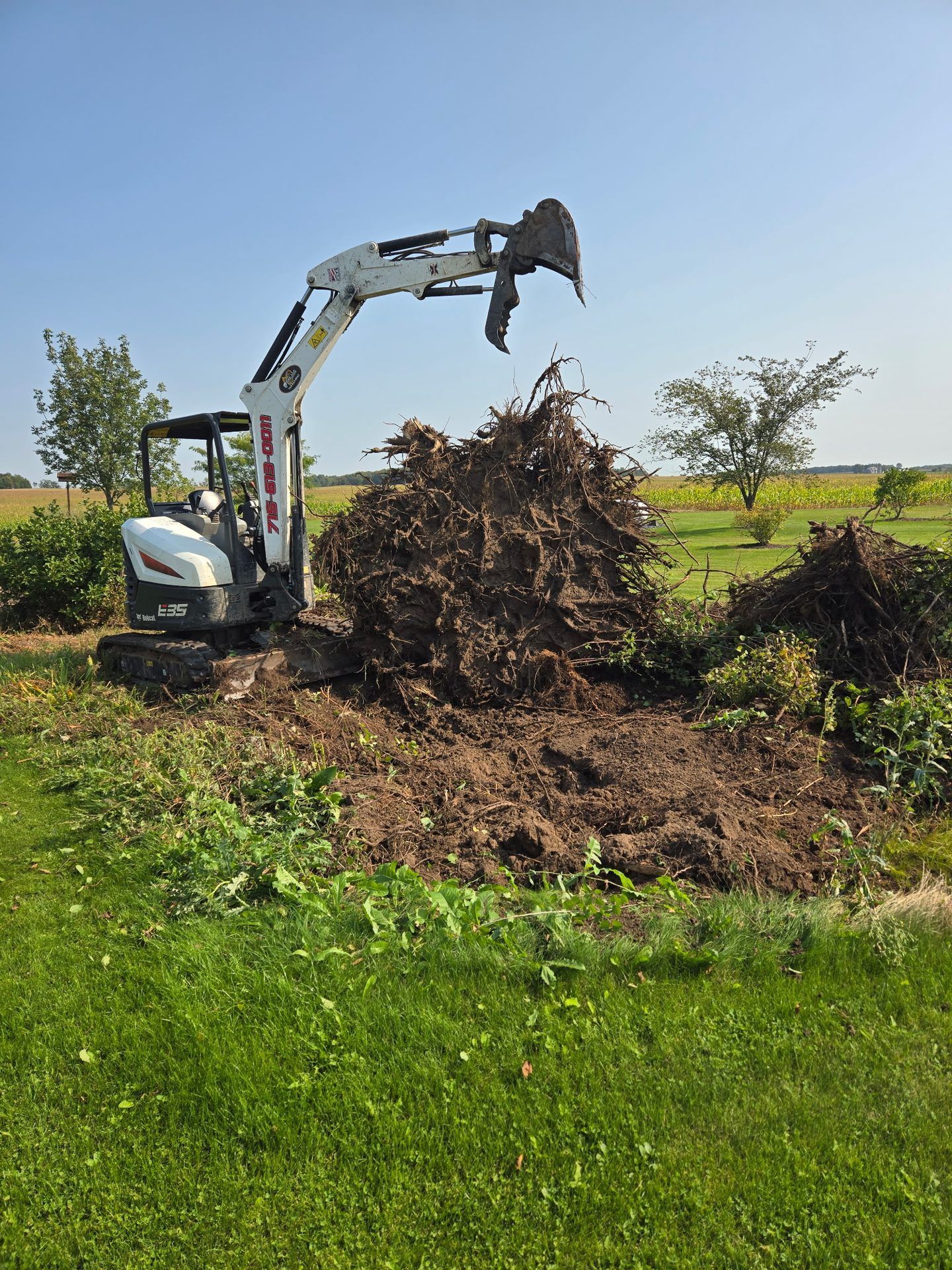 Bobcat E35 excavator removing overgrown shrub and tree stumps from a rural yard beside farm fields in Dorchester, WI