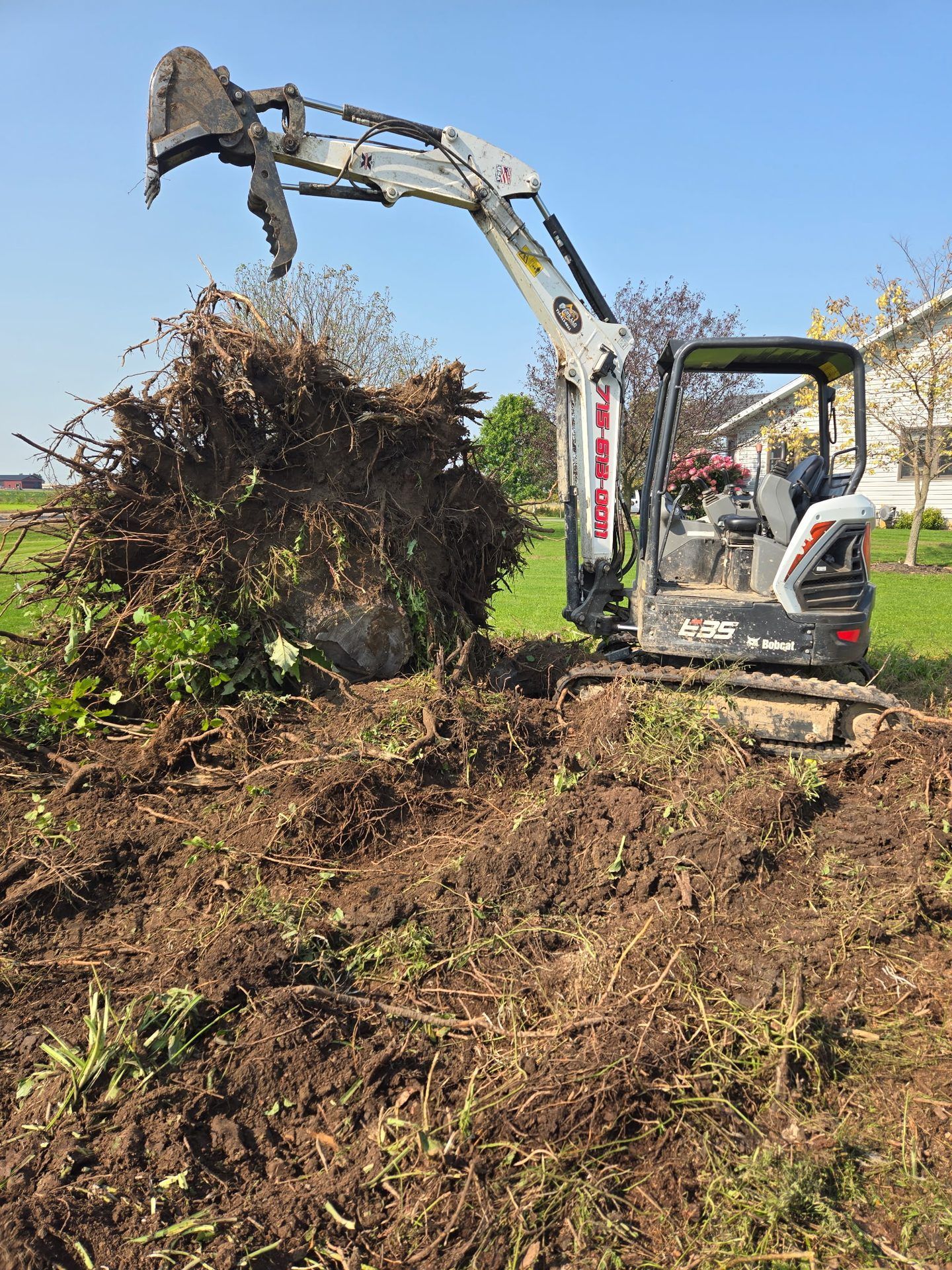 ERE mini excavator with a thumb attachment pulling a large tree stump and root ball from a yard in Dorchester, WI