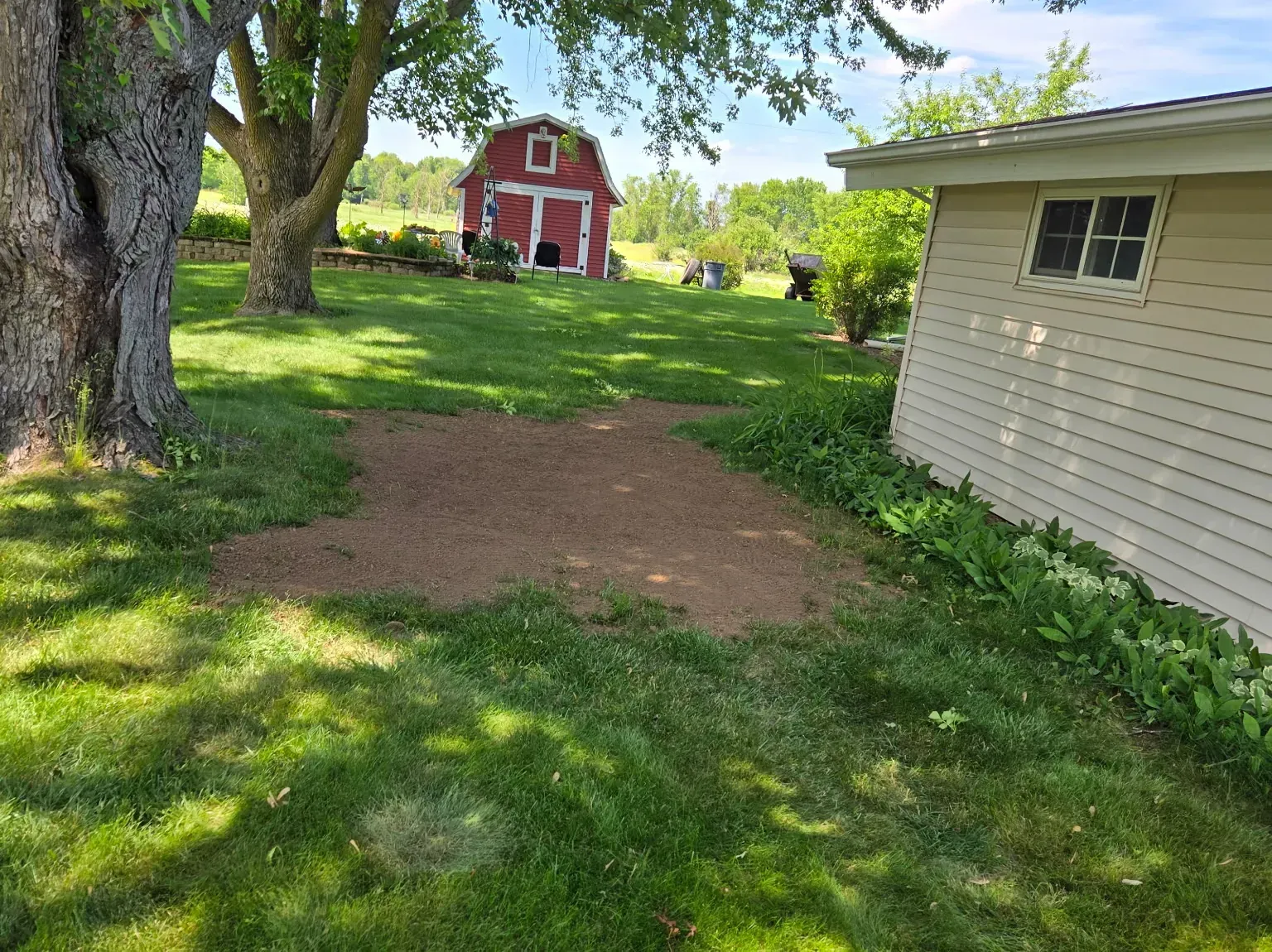Bare lawn area filled with fresh topsoil and graded smooth for seeding under shade trees in Spencer, WI
