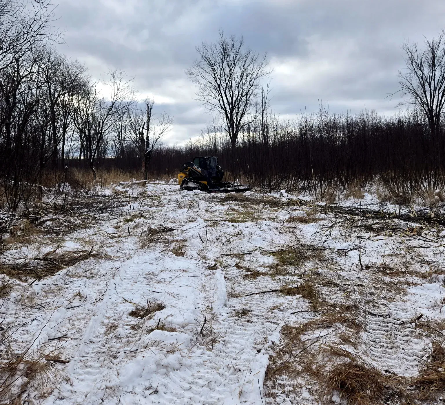 ERE track loader with a brush cutter attachment clearing a wide lane through dense alder in winter in Phillips, WI