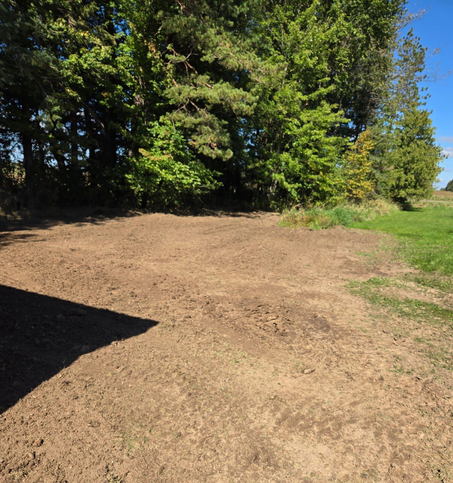 Freshly final-graded yard ready for seed along a tree line in Dorchester, WI