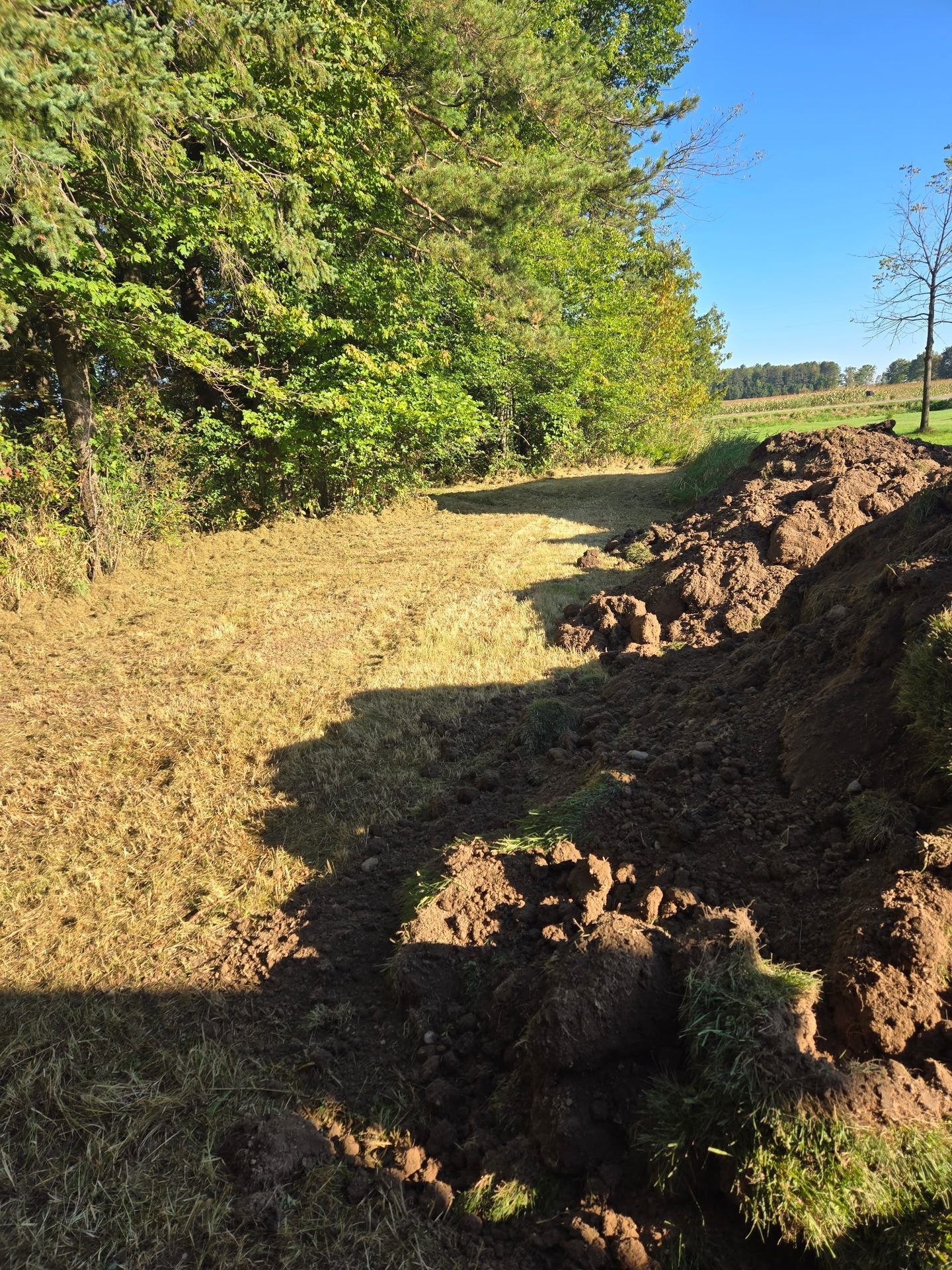 Stripped sod and soil piled along a tree line during yard regrading in Dorchester, WI