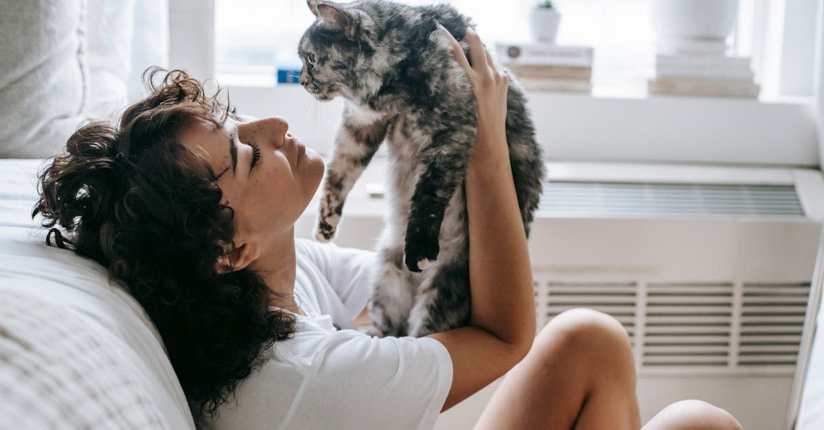 Cat Nanny