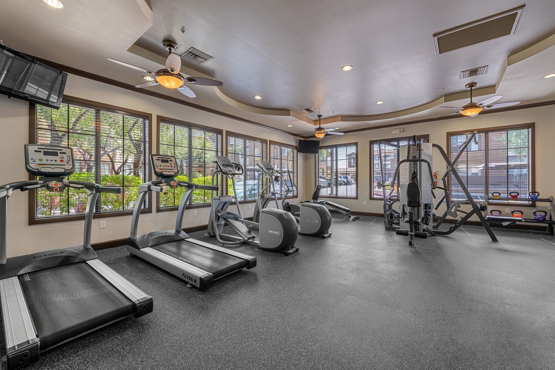 Spacious indoor gym with treadmills, ellipticals, and weight machines by large windows