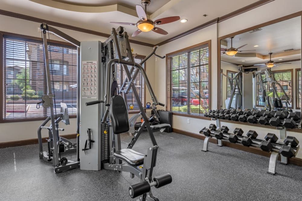 Home gym with cable machine, dumbbells, mirrors, and large windows.