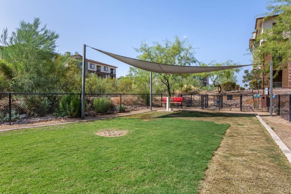 Backyard lawn with shade sails, a fence, and trees under a clear blue sky