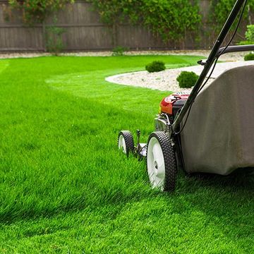 Lawn Mower on the Green Grass — Louisville, KY — Perfect Cut Landscaping Lawn Mower on the Green Grass — Louisville, KY — Perfect Cut Landscaping