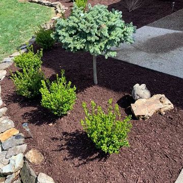 Flower Bed with Rocks and Mulch — Louisville, KY — Perfect Cut Landscaping Flower Bed with Rocks and Mulch — Louisville, KY — Perfect Cut Landscaping