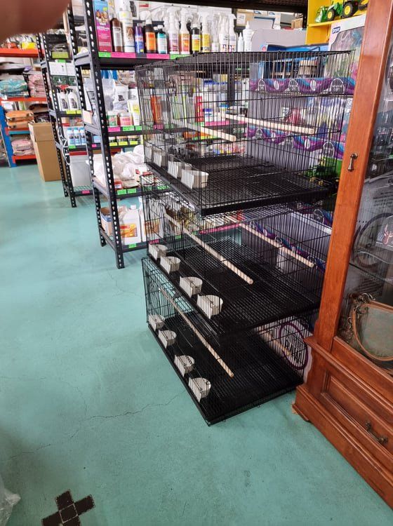 Bird Cage In Pet Store — Pet N Produce Supplies & Saddlery In Maryborough QLD