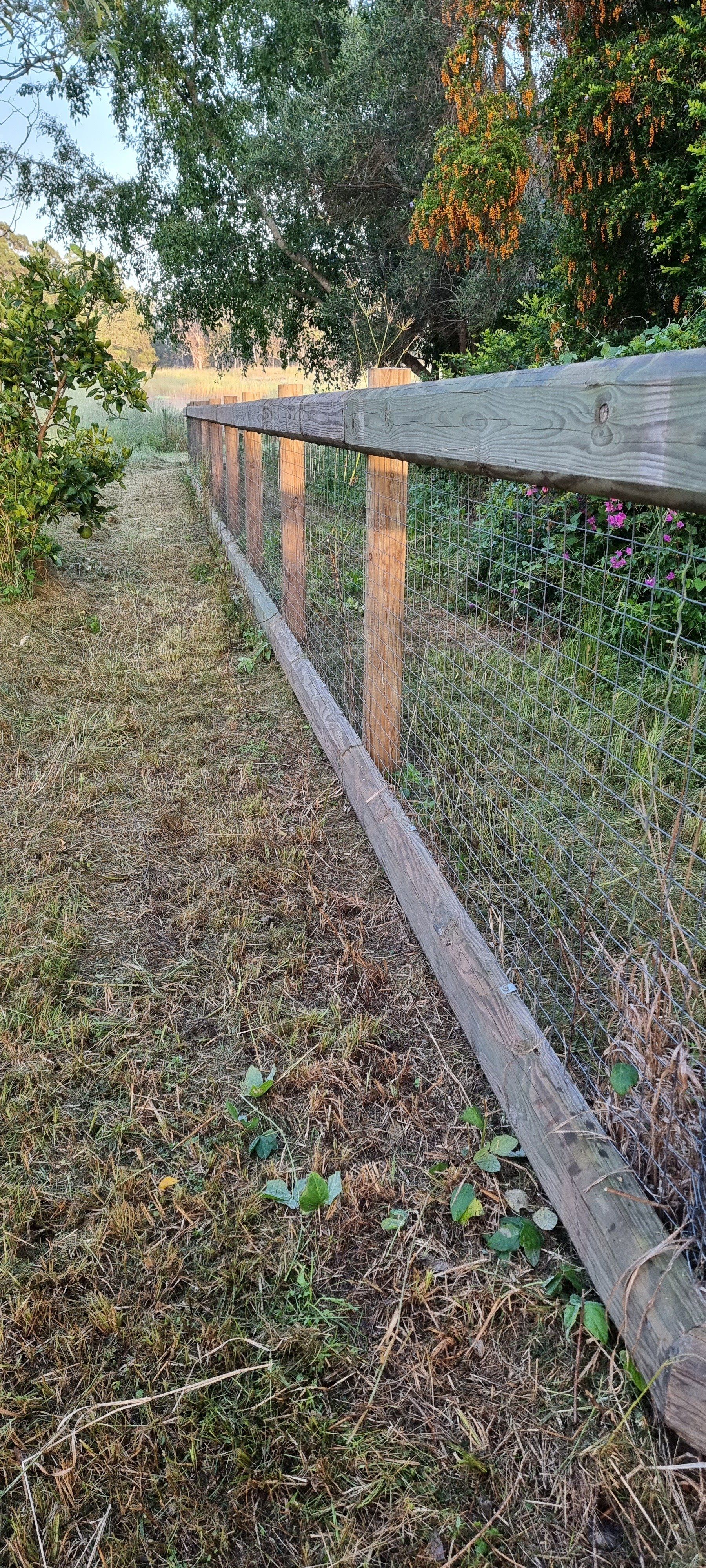 Mesh And Barbed Wire Fence — Pet N Produce Supplies & Saddlery In Maryborough QLD