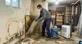 Person using a pressure washer to clean mold and grime from a basement wall