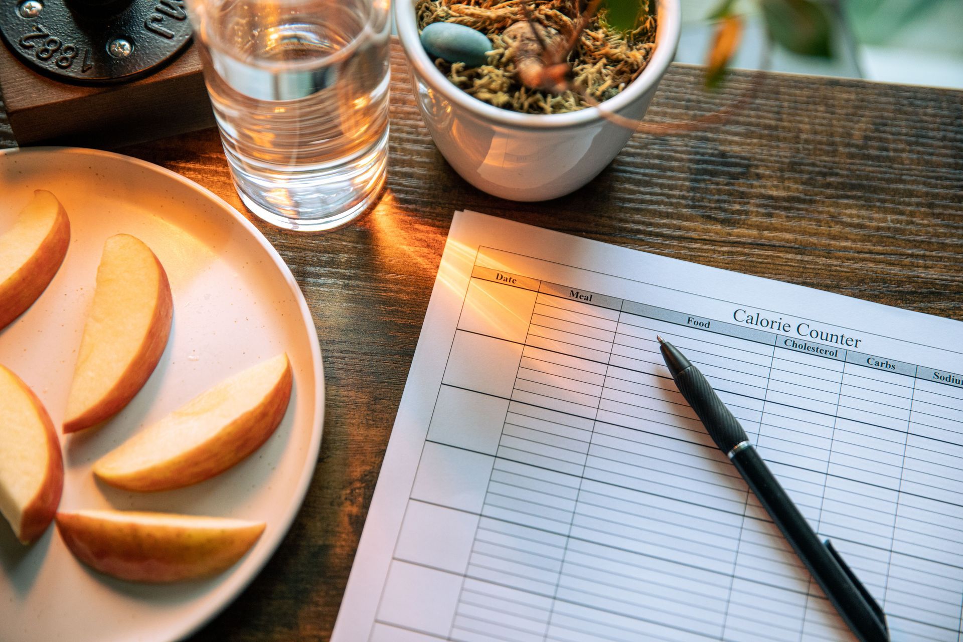 TBT client tracking calories and macros