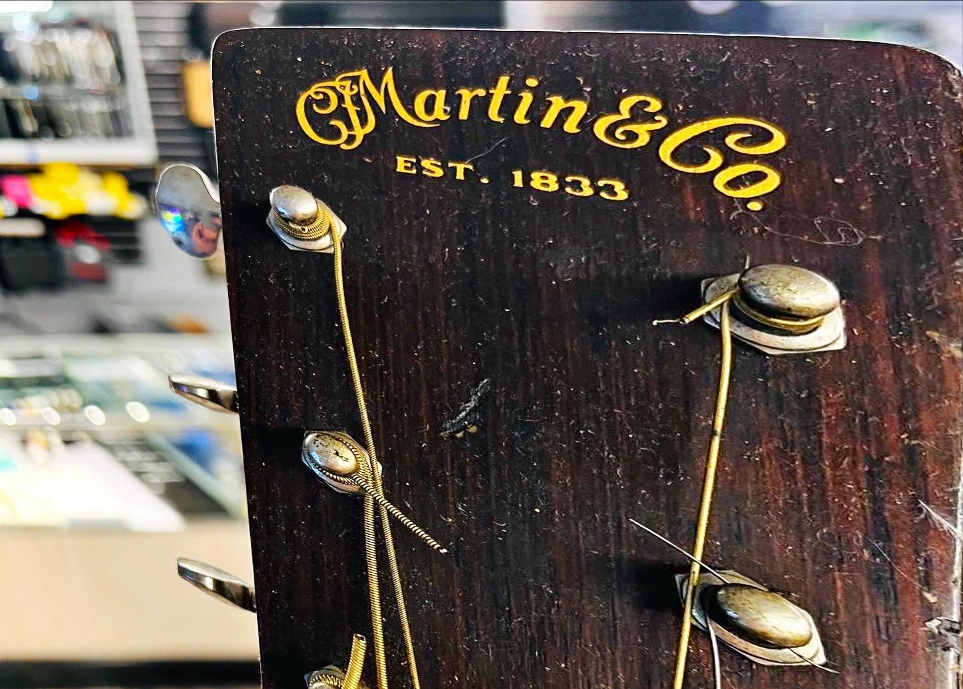 Headstock of a Martin & Co. guitar, dark wood with gold lettering and tuning pegs.