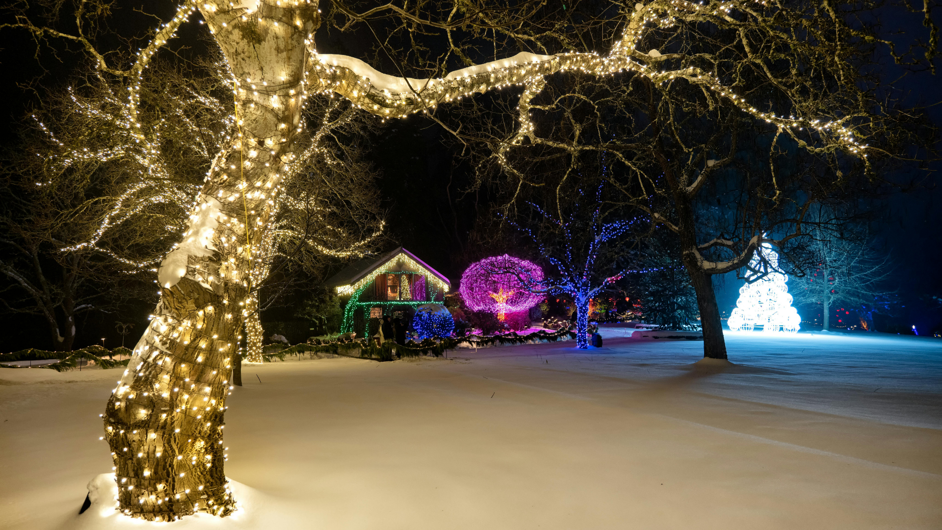 White house with bright Christmas lights, decorated with reindeer, snowman, and wreath.