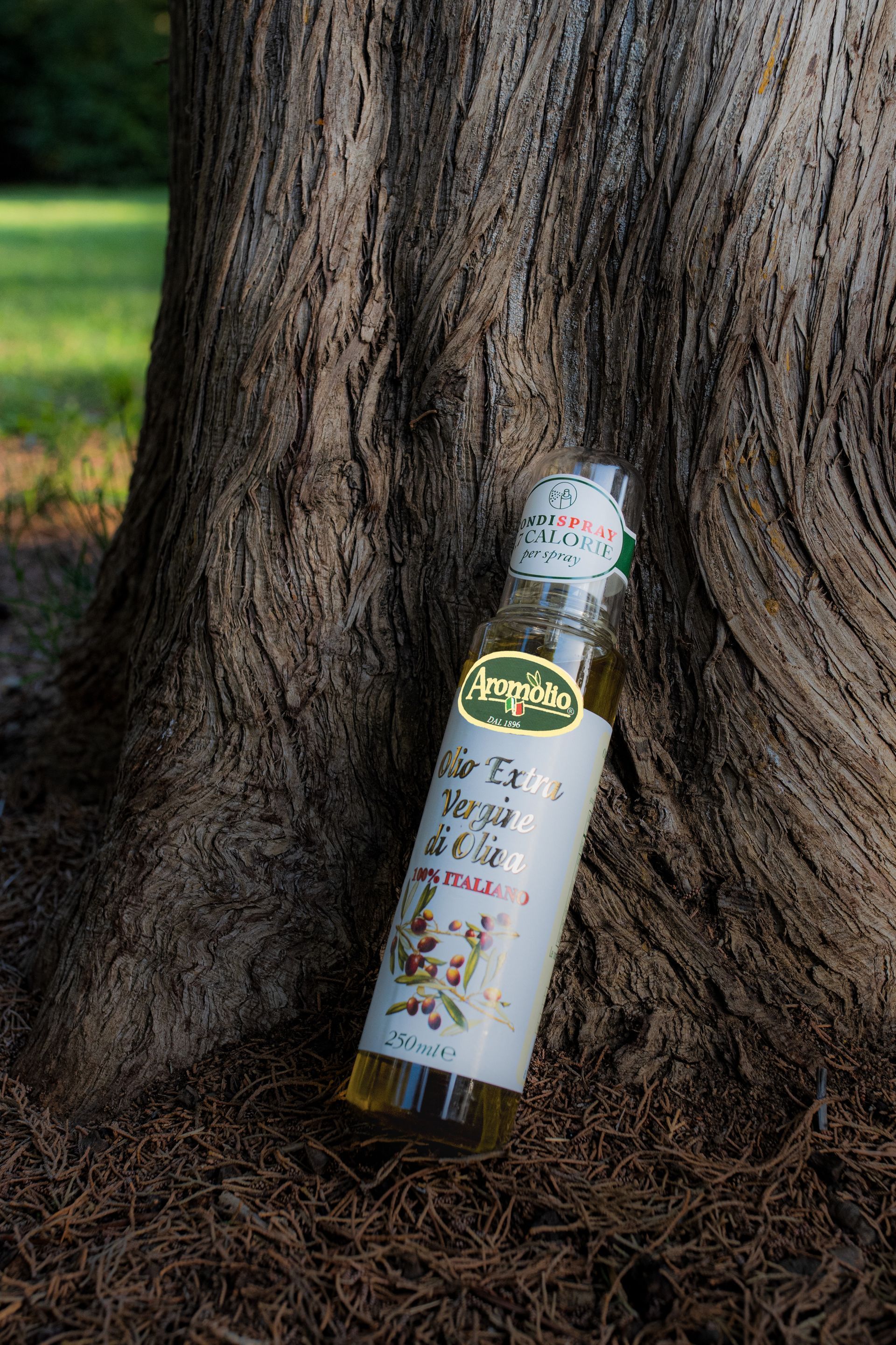 Aromolio - olio extravergine di oliva e olio aromatizzato