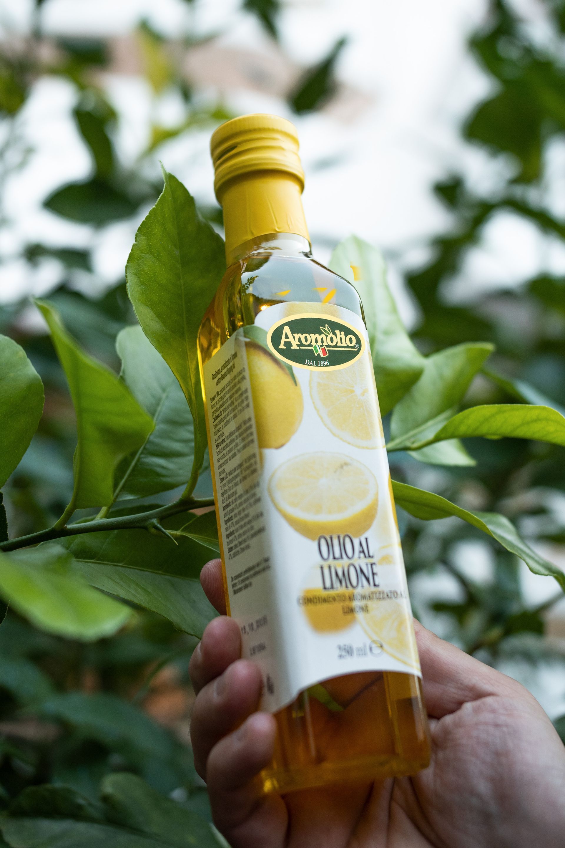 Aromolio - olio extravergine di oliva e olio aromatizzato