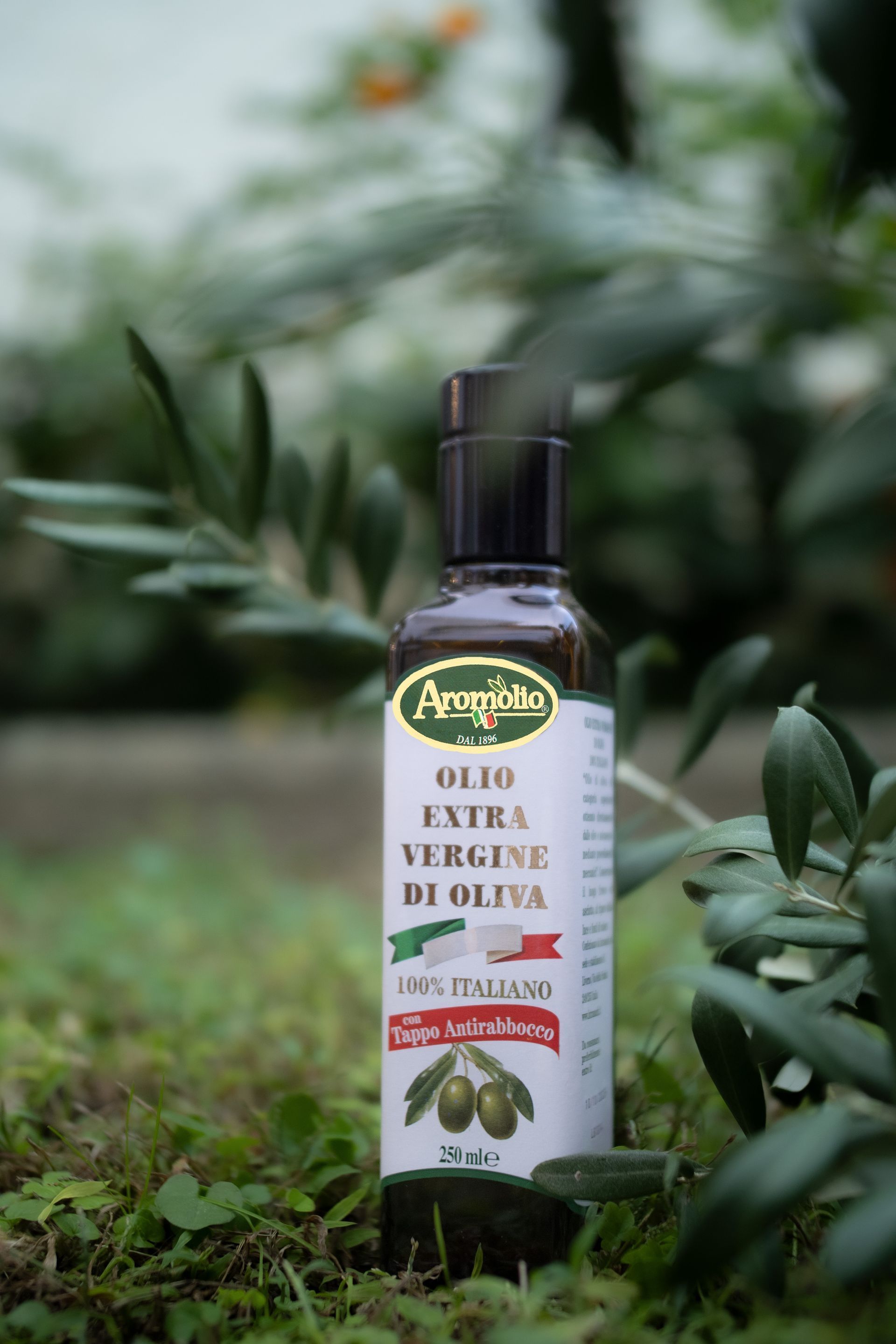Aromolio olio extravergine di oliva