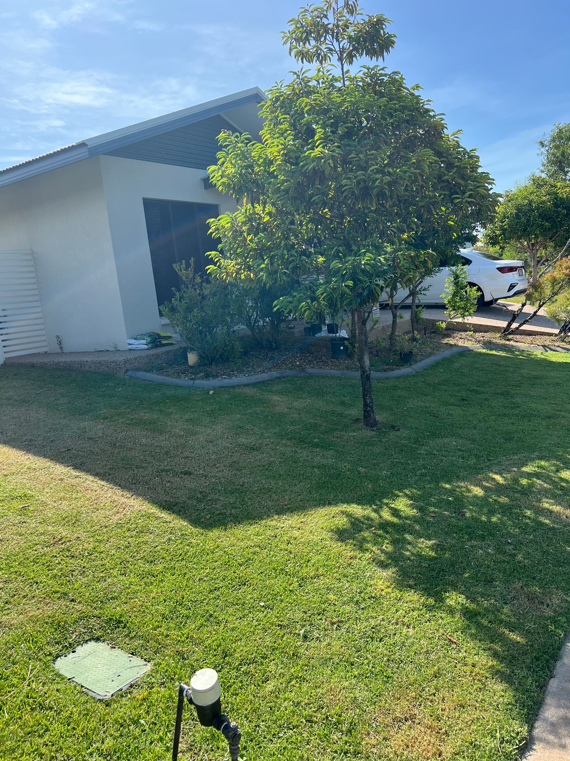 House with tree and lawn under a bright blue sky — Green Scene NT in Darwin, NT