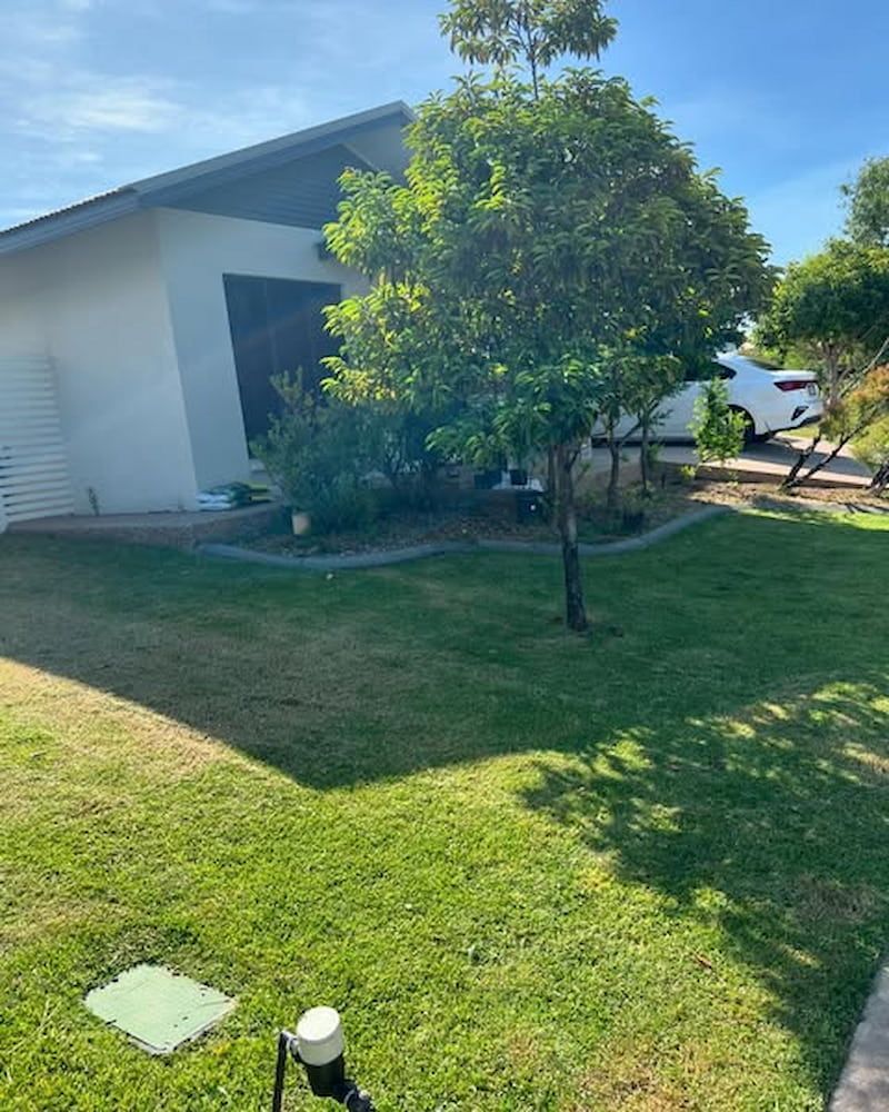 A Green Yard With a Tree in Front of a White House on a Sunny Day — Green Scene NT in Darwin, NT