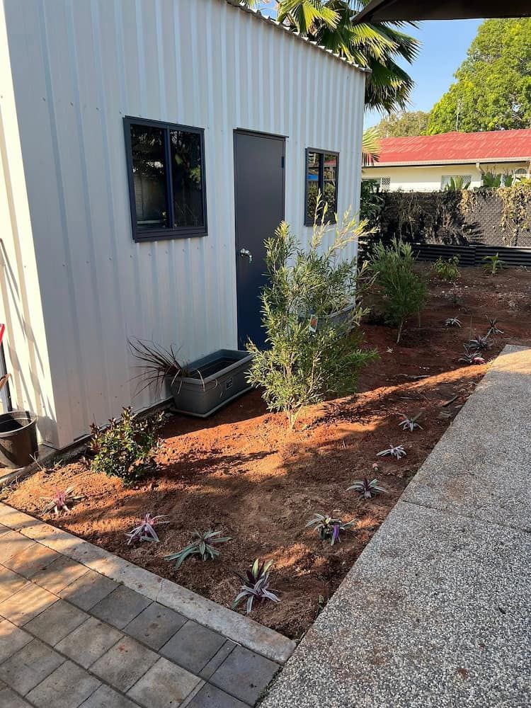 Garden Bed With Newly Planted Greenery Next to a White Shed With Black Door and Windows — Green Scene NT in Darwin, NT