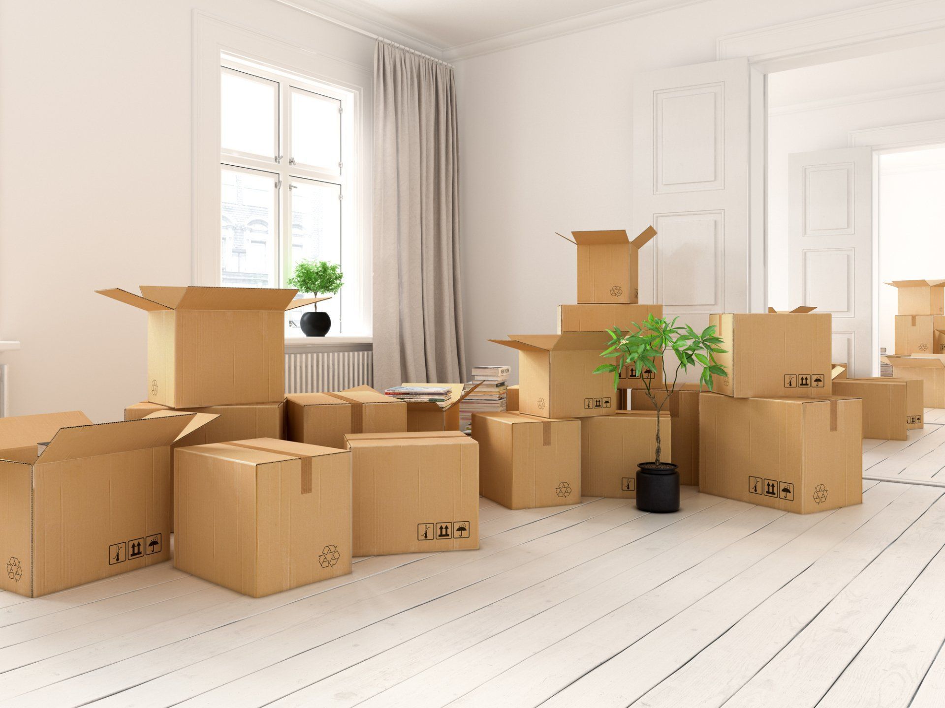 A room filled with lots of cardboard boxes and a plant.
