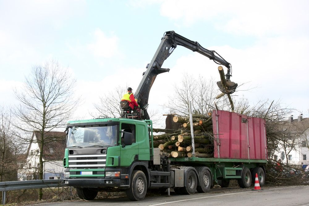 A Green Truck is Carrying Logs on a Trailer — Brodees Crane Trucks in Murwillumbah, NSW