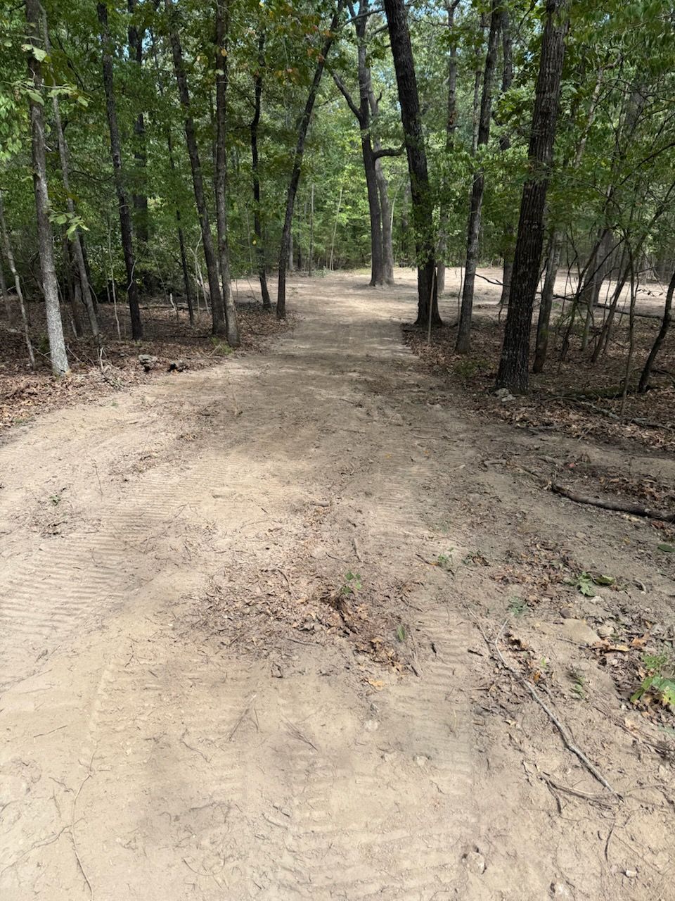 Dirt path through a forest, trees line the sides, sunny day.