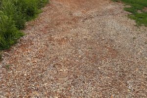Gravel path with green grass on the edges. The gravel is a mix of brown and gray stones.