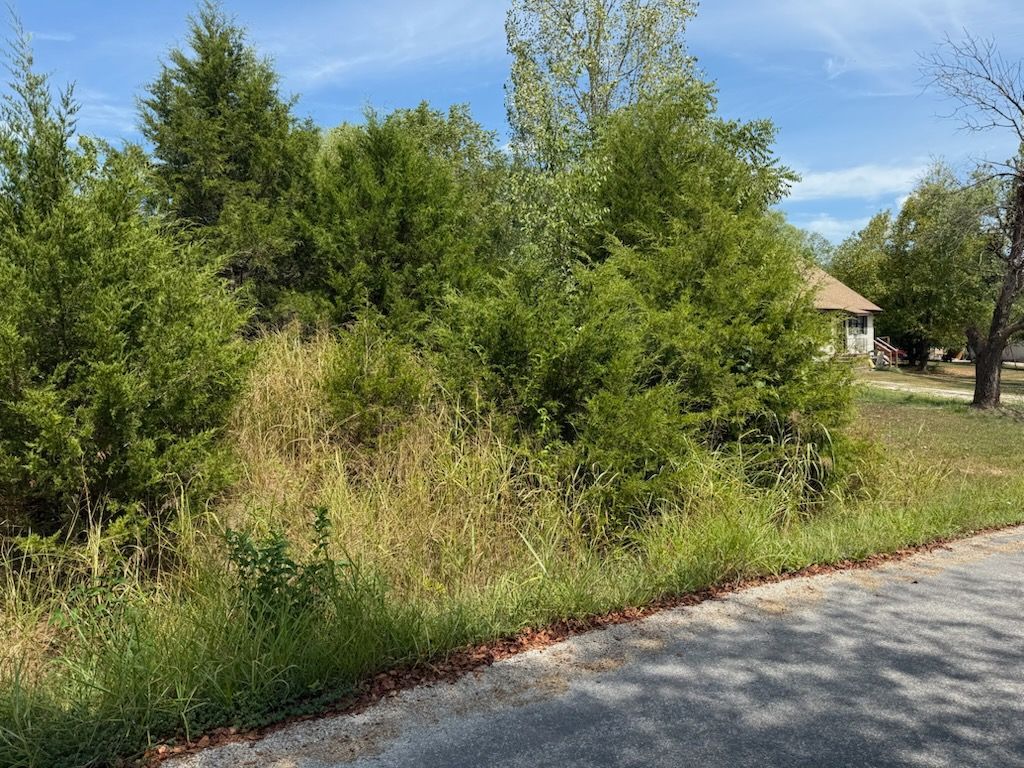 A grassy lot with trees and shrubs next to a road, house visible in the background on a sunny day.