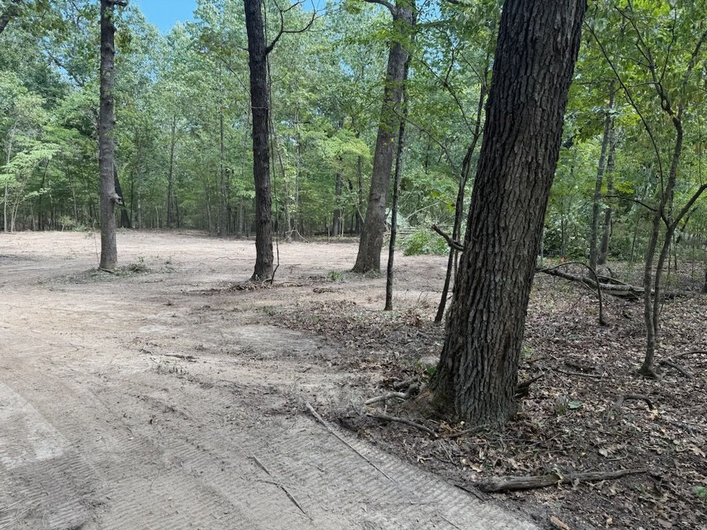 Dirt road leading through a wooded area with trees and open space; sunny day.