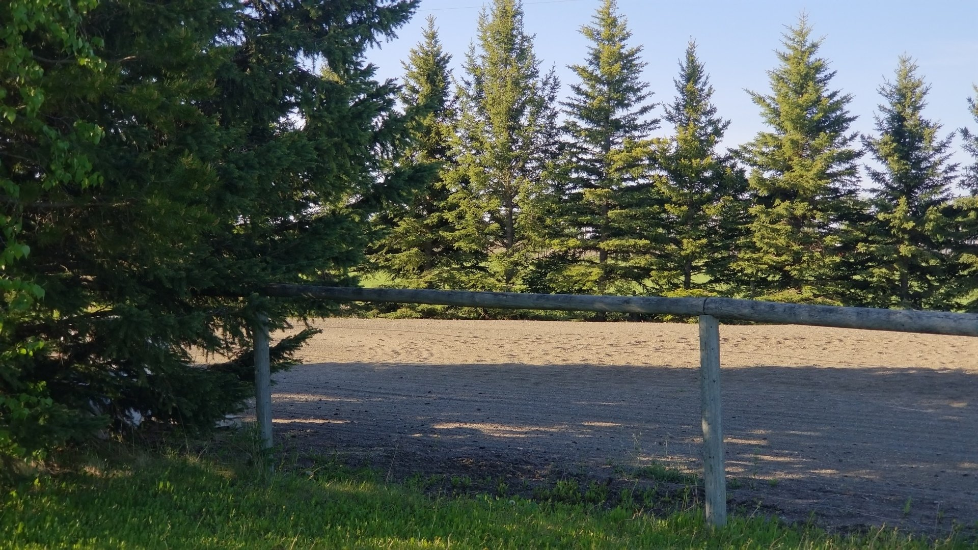 A wooden fence surrounds a dirt field with trees in the background