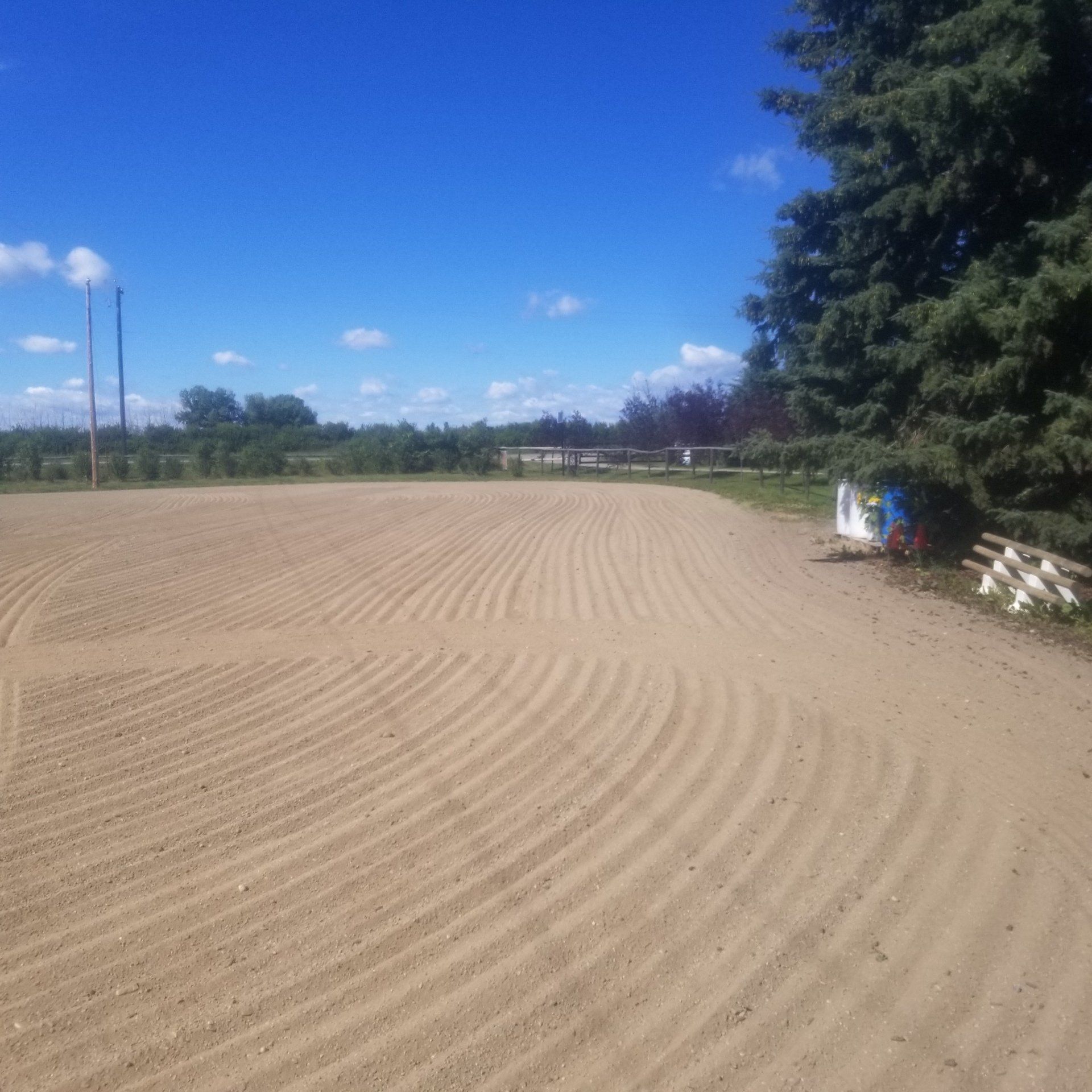 Freshly raked sandy field under a blue sky, with trees and stacked logs along the edge