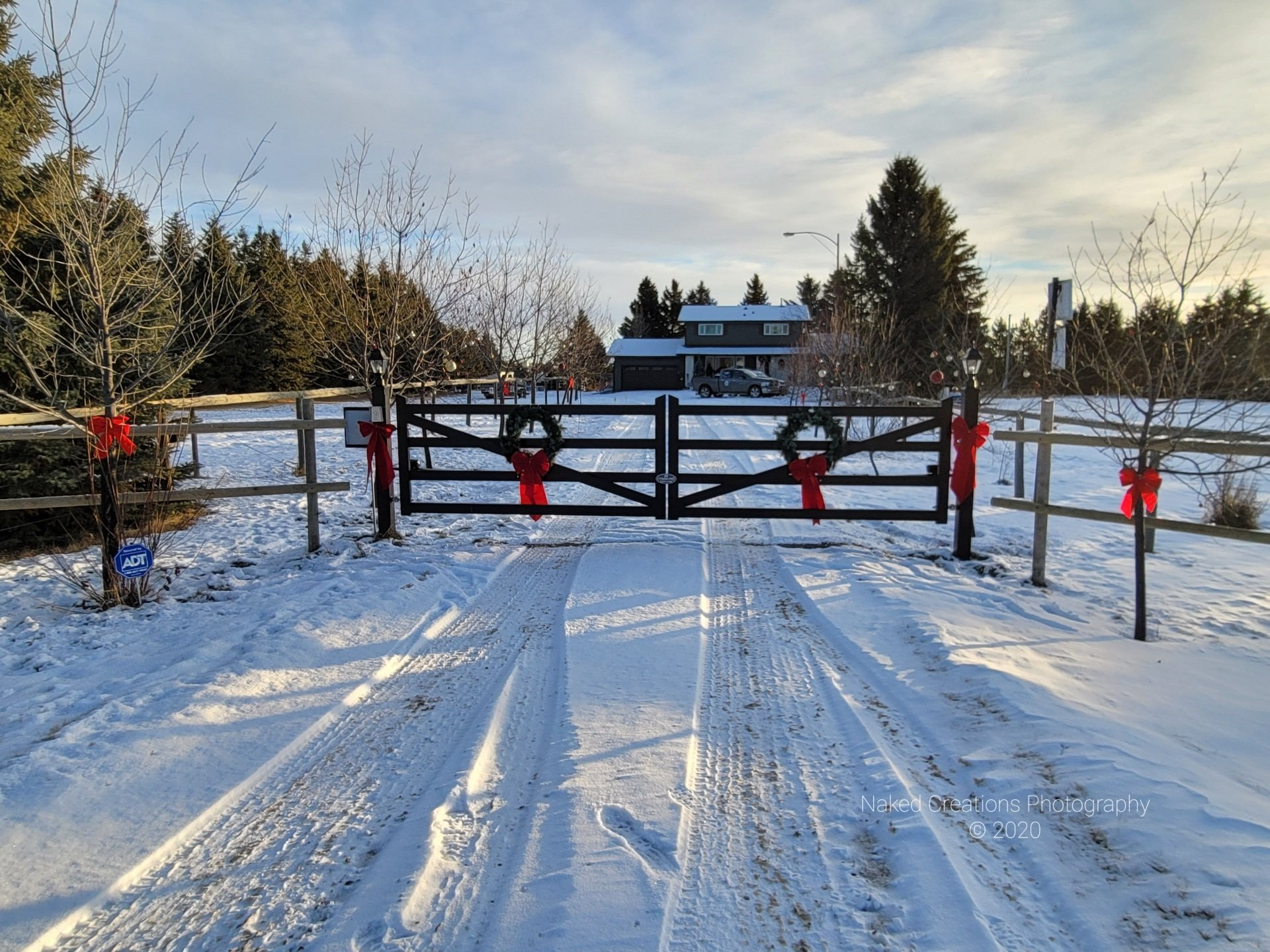 Snow-covered driveway gate with red bows and a house in the background