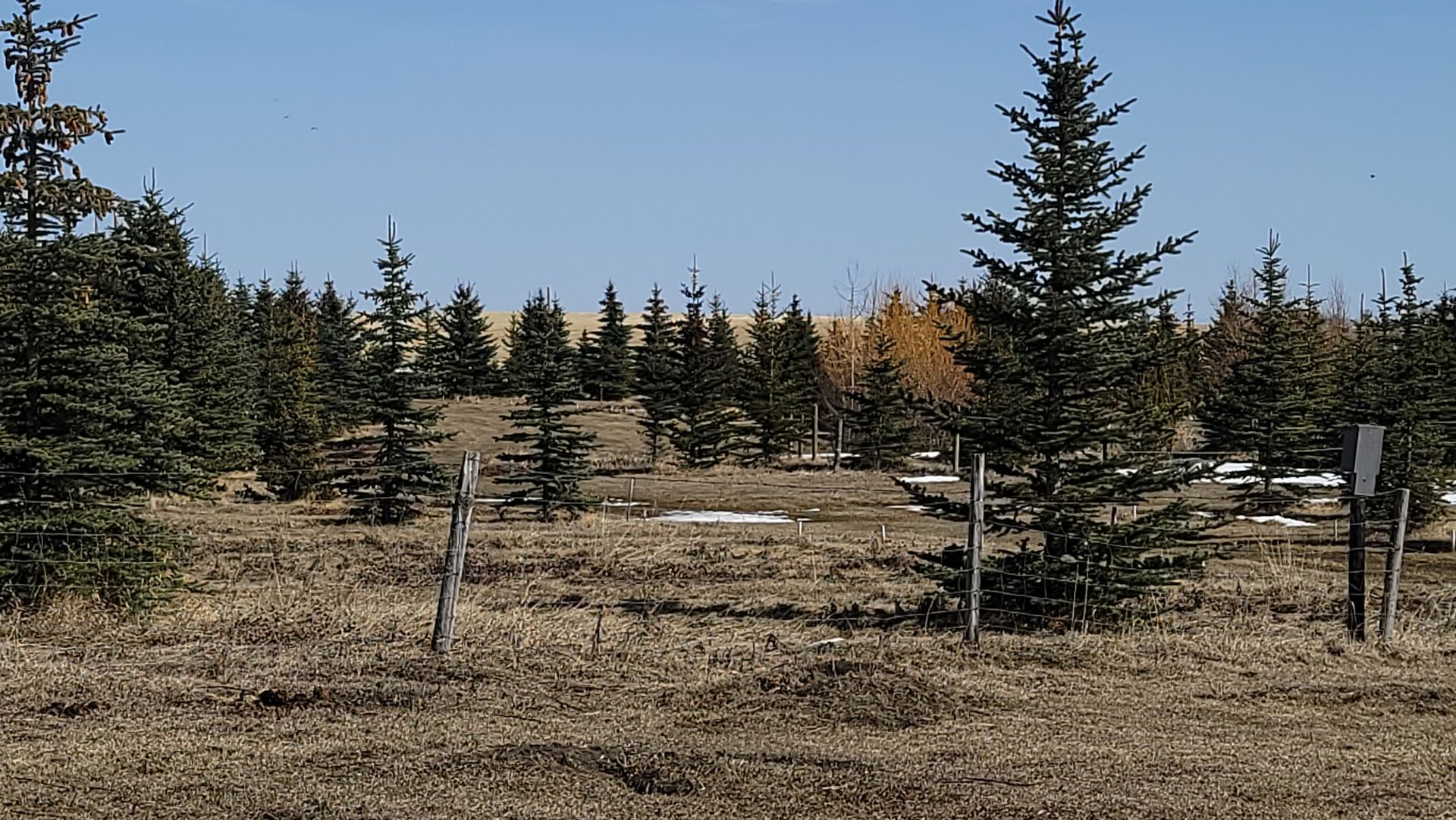 A fenced in area with trees in the background